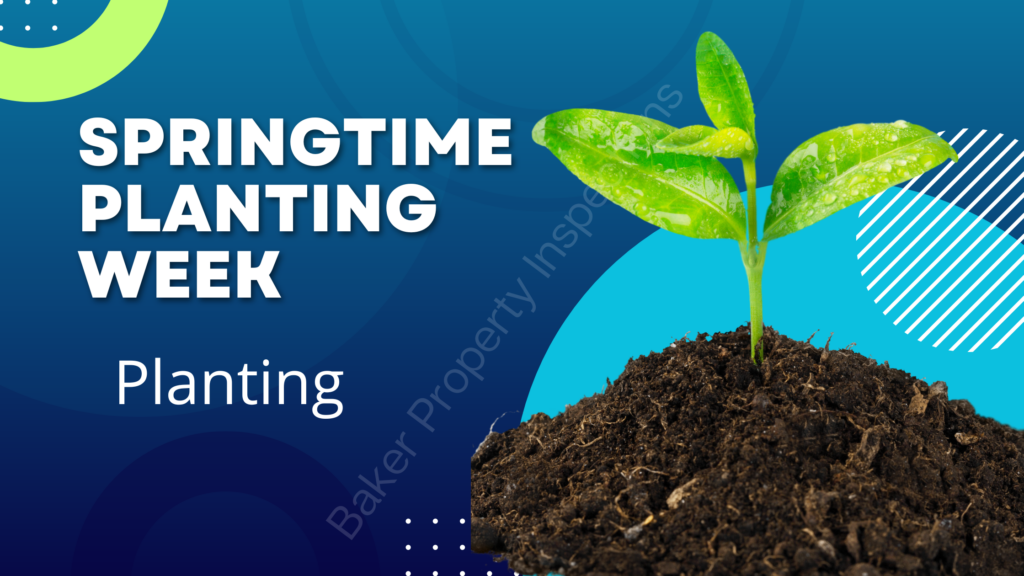 Springtime Planting Week Planting 4 Steps Baker Property Inspections